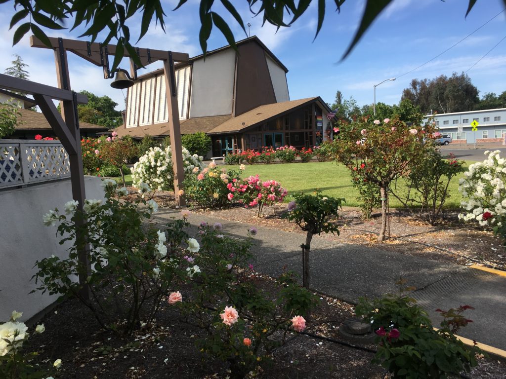 church roses outside