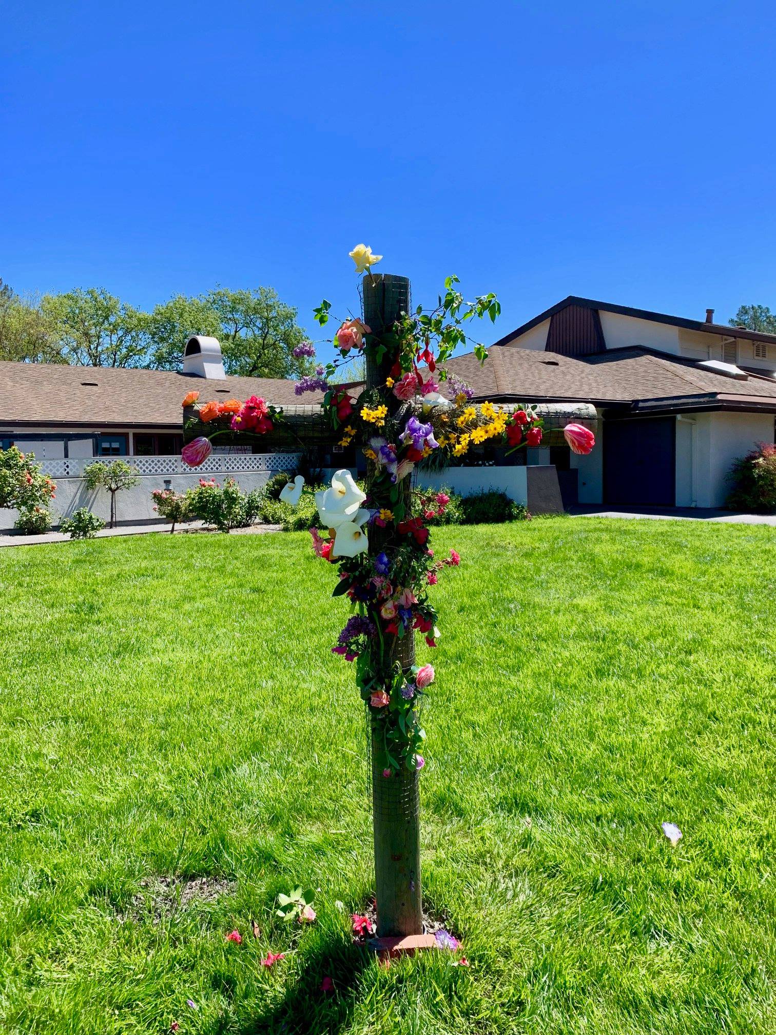 EASTER Church of The Roses